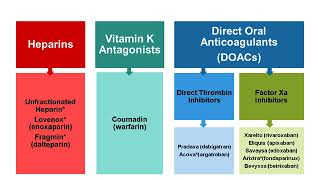 Webinar  Whats New in Anticoagulation Therapy [upl. by Nirrat]