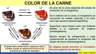 BROMATOLOGIA CARNE [upl. by Akyssej]