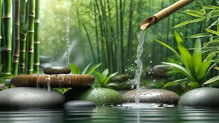 Relaxing Piano Music amp Water Sounds 247  Ideal for Stress Relief and Healing  Money Caller [upl. by Donielle15]