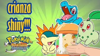 cria tus propios pokemon shiny y perfectos en pokemon heart gold y soul silver [upl. by Jaquelin]