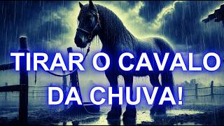 20 EXPRESSÕES QUE USAMOS E VOCÊ NÃO SABE DE ONDE VEM [upl. by Esbenshade]