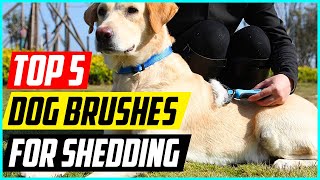 Best Dog Brushes for Shedding in 2022 Top 5 Picks [upl. by Pence]