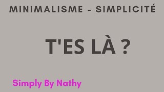 115  Minimalisme  le plus important cest quoi [upl. by Bulley]