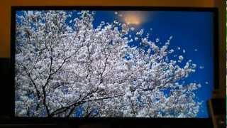 Sony Bravia KDL50EX645 LED HDTV Review [upl. by Andre266]