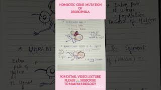 Simplified Notes 🔥Drosophila Homeotic Gene Mutation  Easy Learning 🔥csirnetlifescience shorts [upl. by Walton]