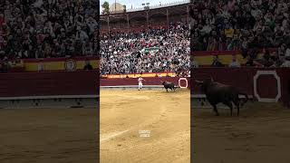 Salto Del Angel De Alex “Pipo” Al Toro ¡Precioso Feria De La Magdalena 2024 Castellón shorts [upl. by Michiko]