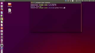 How to run python program using terminal [upl. by Aztinay]