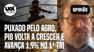 PIB volta a crescer e avança 19 no 1º tri Kupfer Ainda não pode ser colocado na conta de Lula [upl. by Wendin]