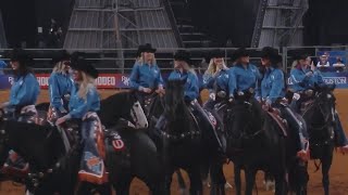 LIVE Houston 2023 Rodeo Coverage [upl. by Meehan]