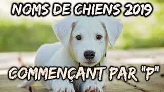 🐕Idées noms de chiens 2019 commençant par quotPquot🐕 [upl. by Corissa422]