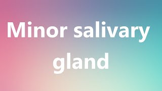 Minor salivary gland  Medical Definition and Pronunciation [upl. by Talich208]