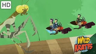 Wild Kratts  Fast amp Furious  Kids Videos [upl. by Stefania181]