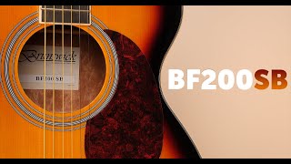 Brunswick BF200SB  Grand Auditorium Acoustic Guitar Sunburst [upl. by Clite42]