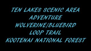 Ten Lakes Scenic Area Adventure WolverineBluebird Loop Kootenai National Forest [upl. by Gilpin]