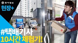 현장 택배기사 10시간 체험기 [upl. by Eitsyrk]