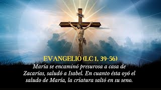 DIOS TE BENDIGA ✨🙏 Buenos días Son las 12 Dediquémosle un momento a nuestro creador Evangelio de Hoy [upl. by Follmer]