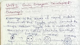 Developmental biology Early embryonic development bsczoology zoologynotes embryology [upl. by Willock415]