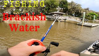 Brackish Water Fishing for BassRedsTrout Ogeechee River [upl. by Bordy435]