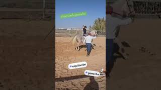 montar con la garrocha costablanca hipica foryou equestrian feelgood garrocha caballo [upl. by Ennavoj634]