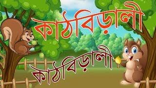 Kathbirali Kathbirali  কাঠবিড়ালী কাঠবিড়ালী Nursery Video Song [upl. by Everard]