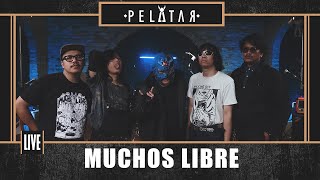 Muchos Libre  PELATAR LIVE [upl. by Dnomsad796]