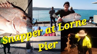 2024 Episode 49 Catching Snapper at Lorne Pier [upl. by Abebi14]