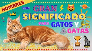 NOMBRES CON GRAN SIGNIFICADO PARA GATOS Y GATAS [upl. by Suzann417]