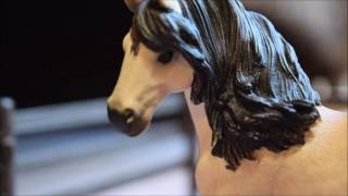 Theres a New Horse at Silver Star Stables  Short Schleich film [upl. by Dimitry68]