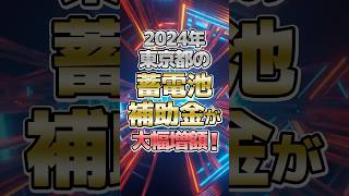 東京都の蓄電池補助金情報！2024年は新たな補助も！太陽光発電 蓄電池 補助金 [upl. by Harbour]