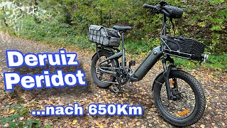 Deruiz Peridot das 20 Zoll Pedelec Ebike Klapprad nach 650km im Test Review [upl. by Plank593]