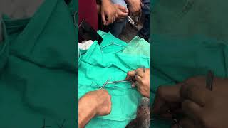 Suture pattern  HorizonalVertical and Cross Mattress explained by drrbkushwaha at SKUAST JAMMU [upl. by Imena]