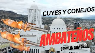 Cuyes y Conejos ASADOS  Ambateños Son los mejores del País [upl. by Maryn247]