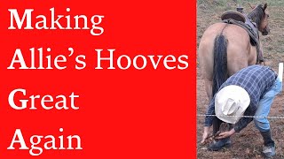 Hoof Trimming WITHOUT Restraints Its a Game Changer [upl. by Pradeep]