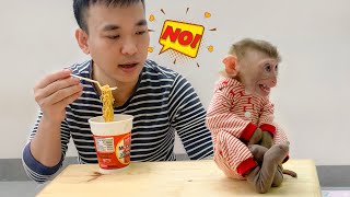 Monkey Puka is angry with Dad for not letting him eat instant noodles [upl. by Atekihc973]