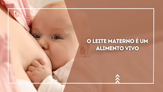 O leite materno é um alimento vivo [upl. by Frendel]