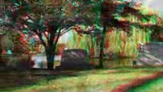 3D Anaglyph Movie  Graceland Graveyard Chicago [upl. by Dix]