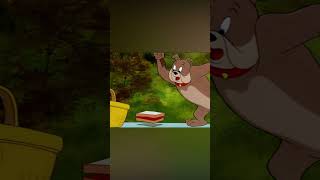 Tom amp Jerry in italiano 🇮🇹  Il perfetto picnic 🧺  shorts  WBKidsItaliano​ [upl. by Yroc]