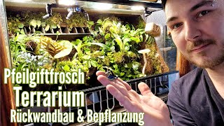 Pfeilgiftfrosch Terrarium  Rückwandbau amp Bepflanzung [upl. by Welford]