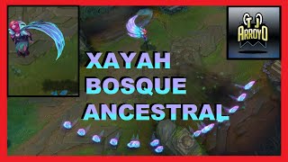 🦉👨‍👩‍XAYAH BOSQUE ANCESTRAL skin lol ESPAÑOL interacciones elderwood xayah league of legends👨‍👩‍🦉 [upl. by Colby]