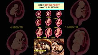 Pregnancy Week by Week Early Fetal Growth Milestones shorts baby Pregnancy health [upl. by Clellan]