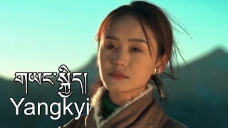 Yangkyi New Tibetan Song 2024 ལེན་མཁན། གཡང་སྐྱིད། [upl. by Atinwahs]