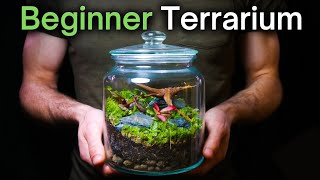 How To Make a Terrarium An InDepth Tutorial [upl. by Aihtnys]