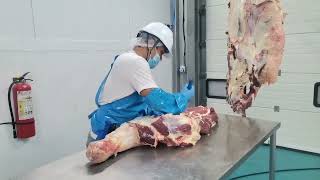 Beef Forequarter Deboning [upl. by Ot]