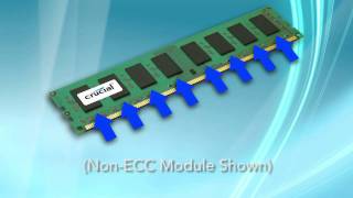 Whats the Difference Between ECC Memory and NonECC Memory [upl. by Taryne]