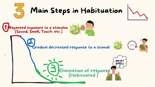 Habituation mini lecture [upl. by Sigvard486]