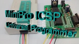 Universal Programmer Minipro ICSP model [upl. by Llerrot599]