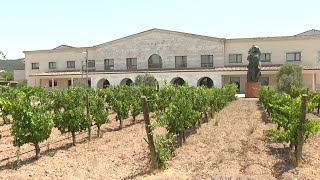 Bodegas Matarromera se alza con el Premio Pyme del Año en Valladolid [upl. by Aliekat915]