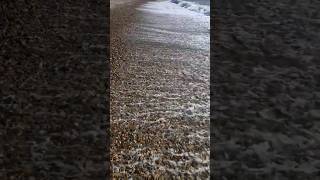 Тото Кутуньо quotИндийское Летоquot Toto Cutugno quotLEte Indienquot🎵🏛 part2🌊 Сочи 3102024☀️ [upl. by Neeneg]