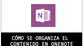 Cómo se organiza el contenido en Onenote de Microsoft [upl. by Addison785]