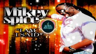 Mikey Spice  The Power Of Love [upl. by Blanding]